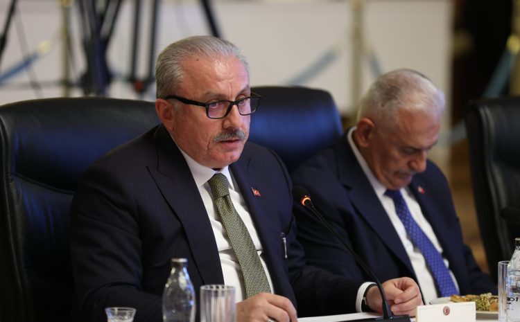 TBMM Milli Dayanışma, Kardeşlik ve Demokrasi Komisyonu 7. Toplantısı